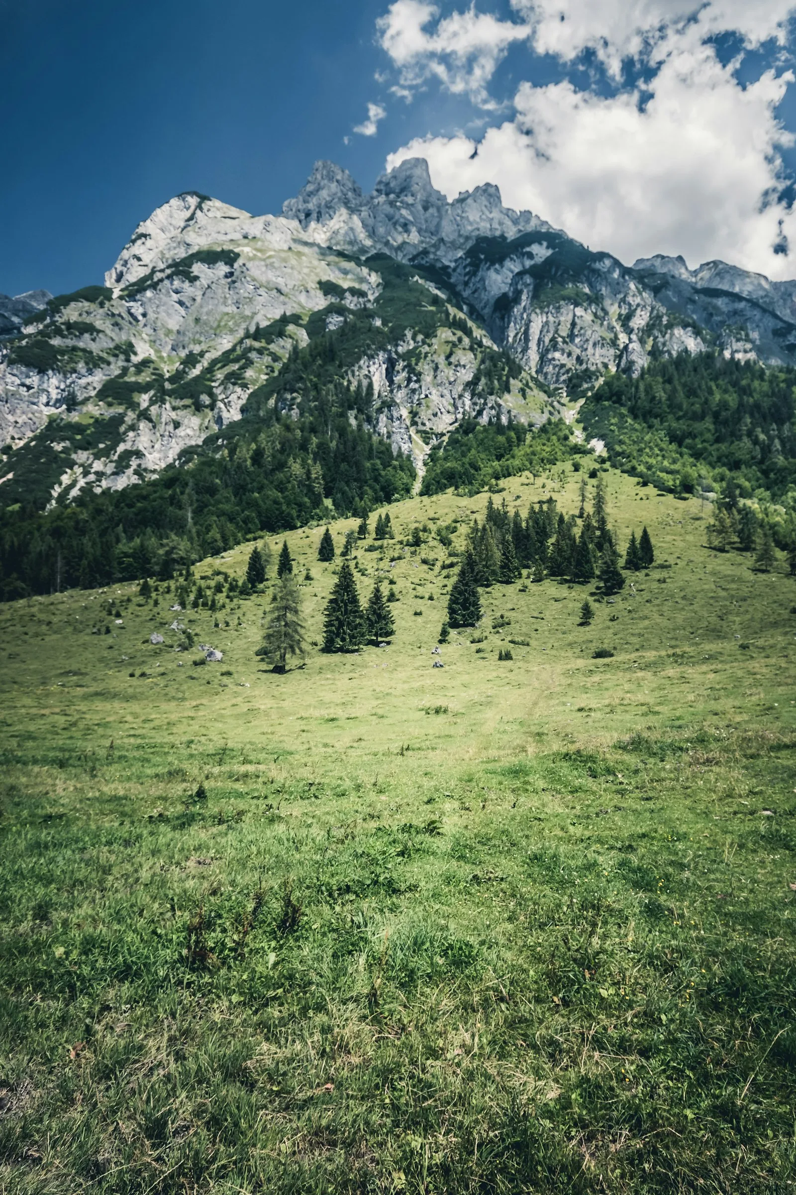 Falbesoner Ochsenalm auf 1822 m im Stubaital, Tirol