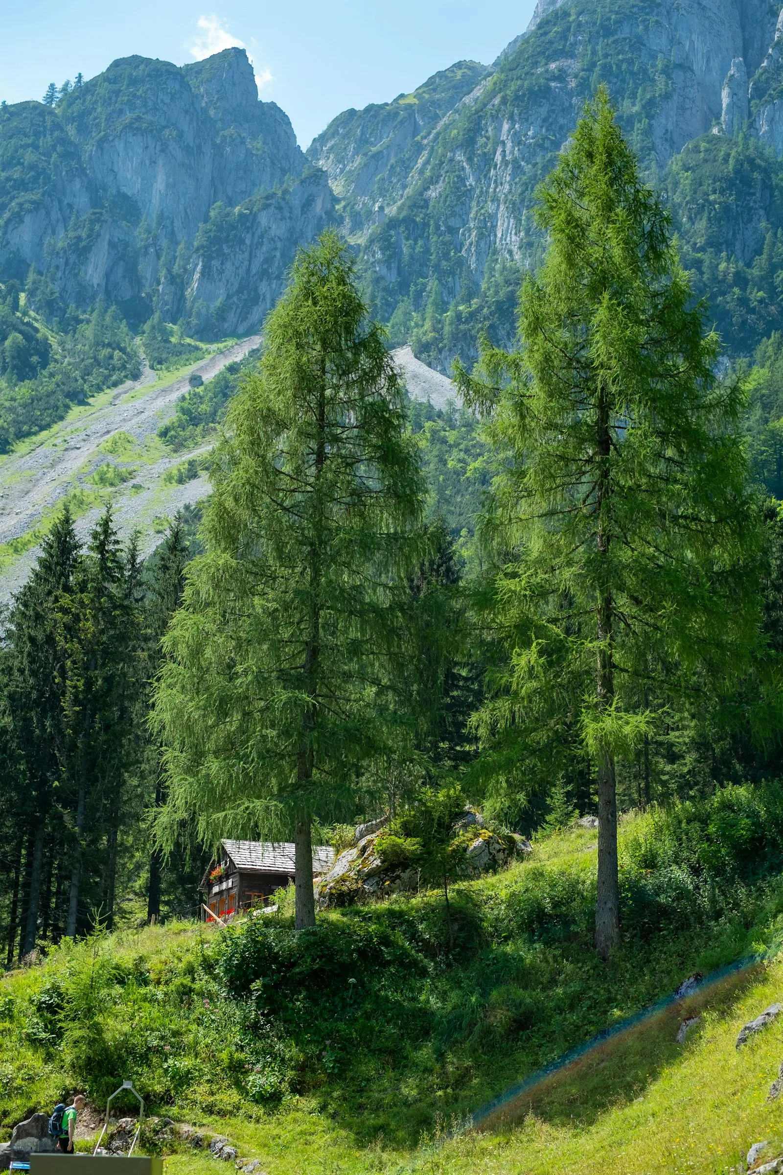 Kreither Alm auf 1492 m im Stubaital, Tirol