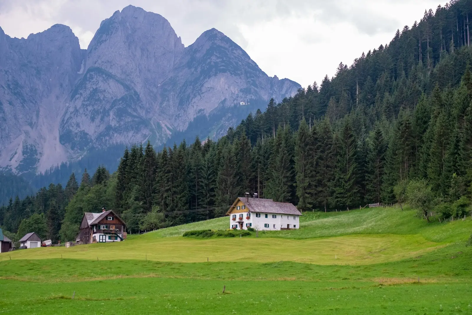 Oberhausalm auf 1350 m im Stubaital, Tirol