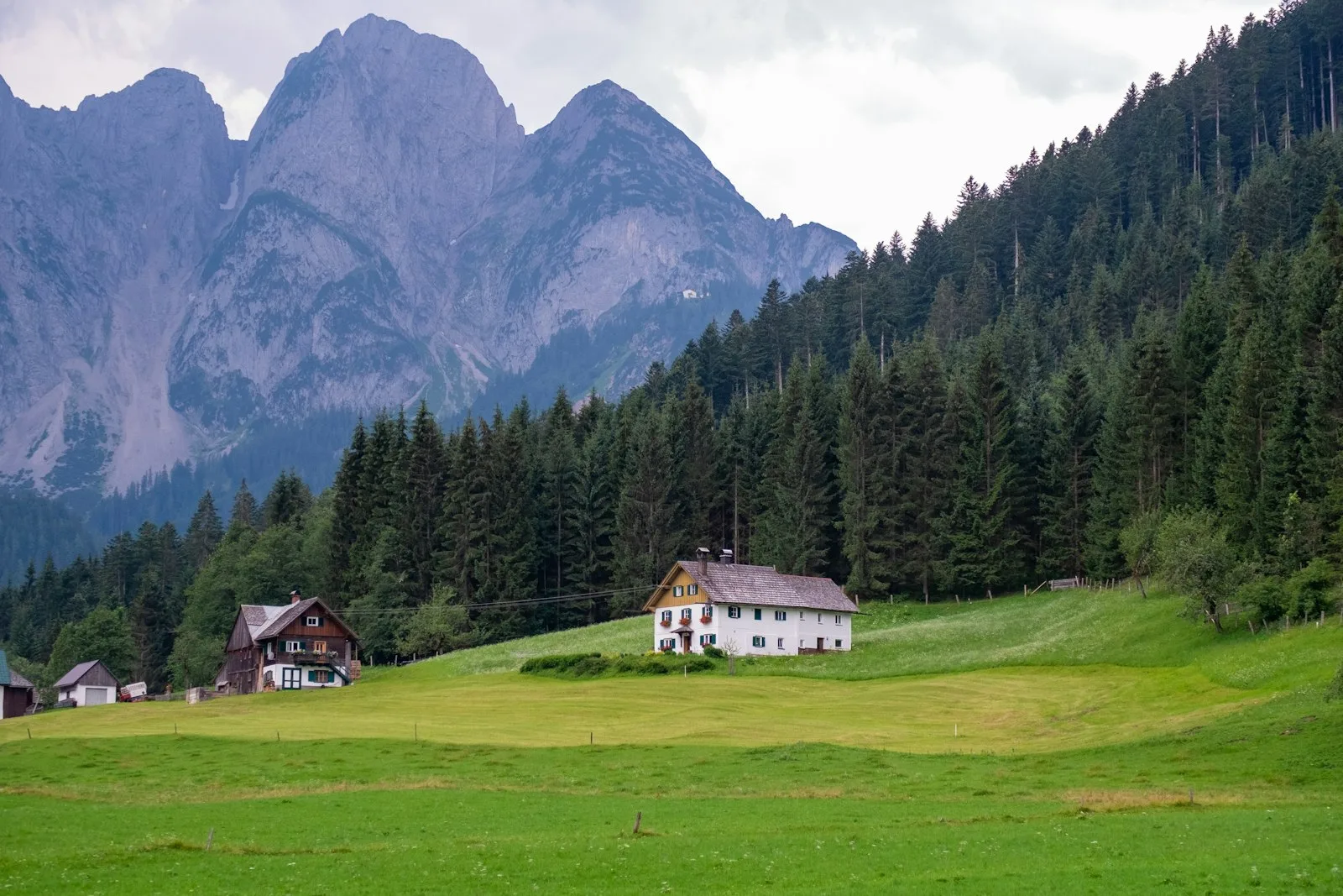 Oberhausalm auf 1350 m im Stubaital, Tirol